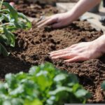 India‘ soil moisture exceeding historical average(Study)<br><span  style=' color: grey; text-align: right;'>Brings double whammy of droughts and floods</span>