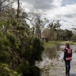 Hurricane BerL hits Jamaican and other Caribbean islands food supply