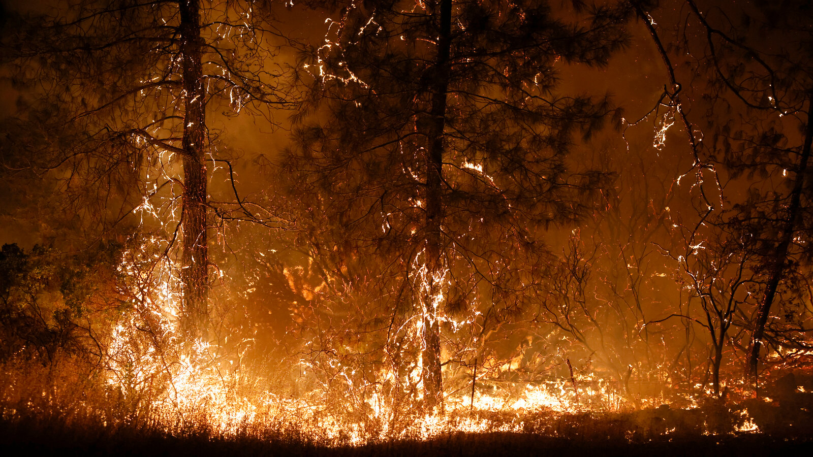 wildfires in Canada