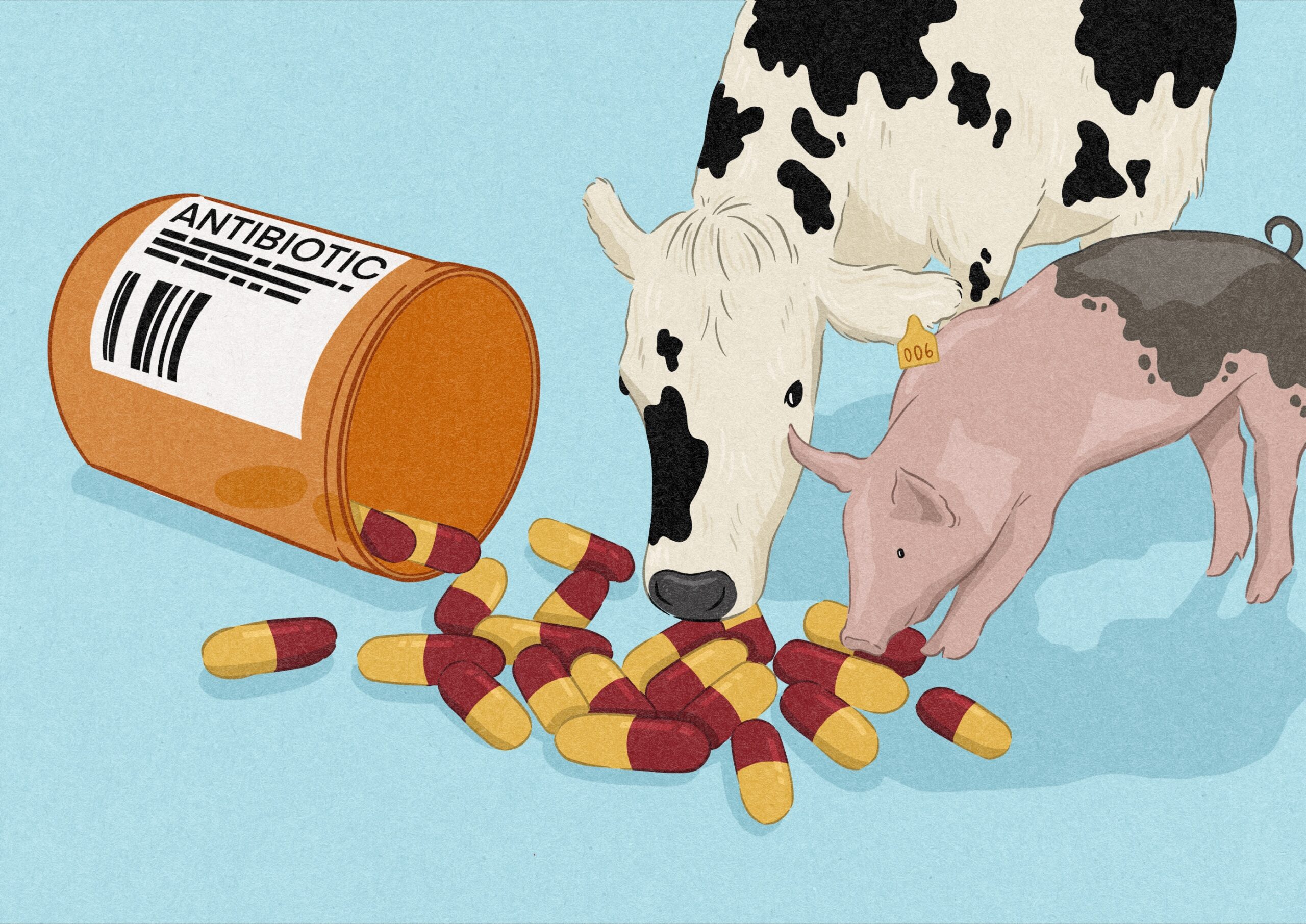 antibiotic use in agriculture