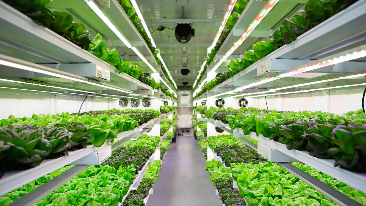 one of in indoor agriculture facilities