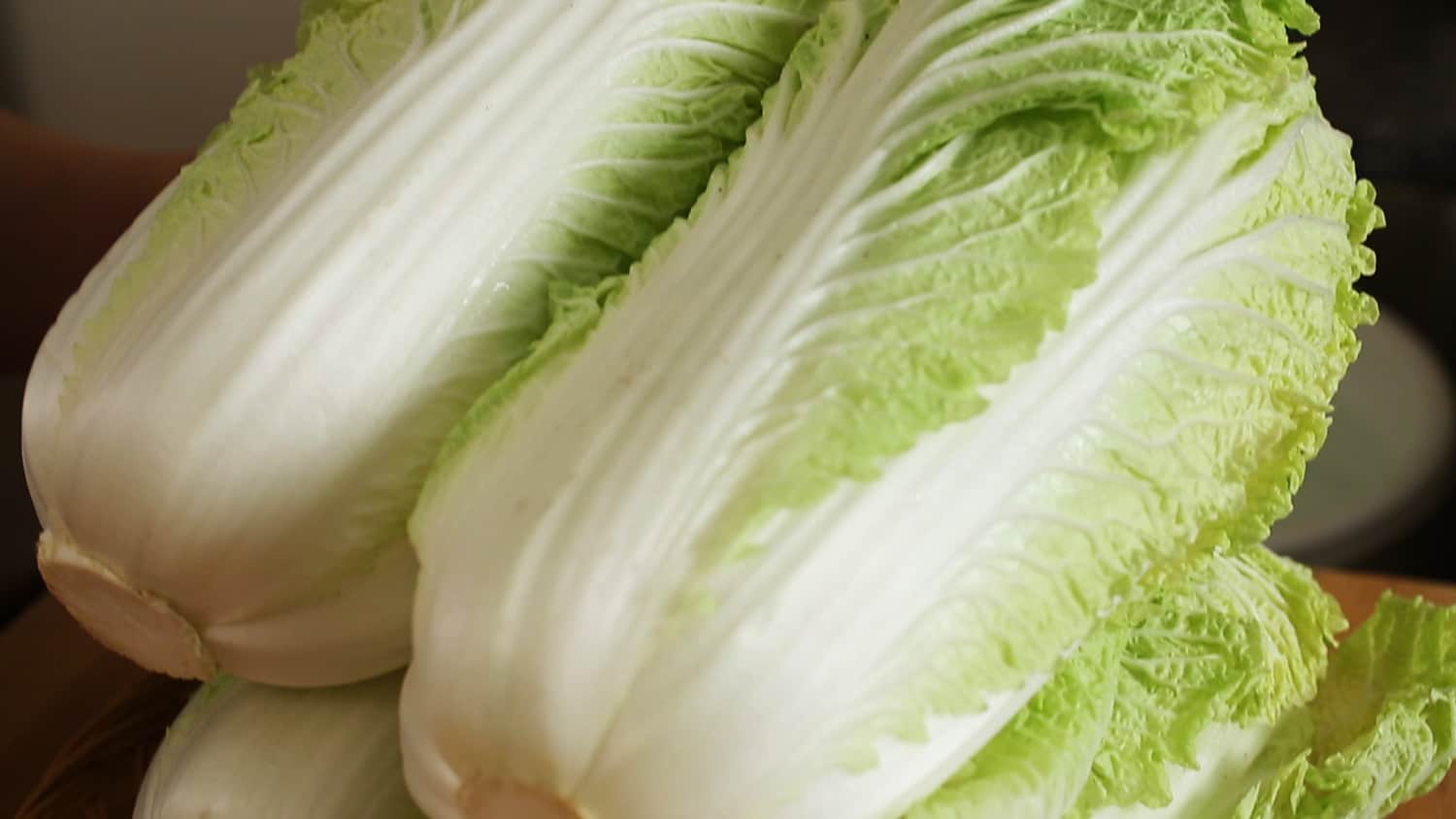 napa cabbage