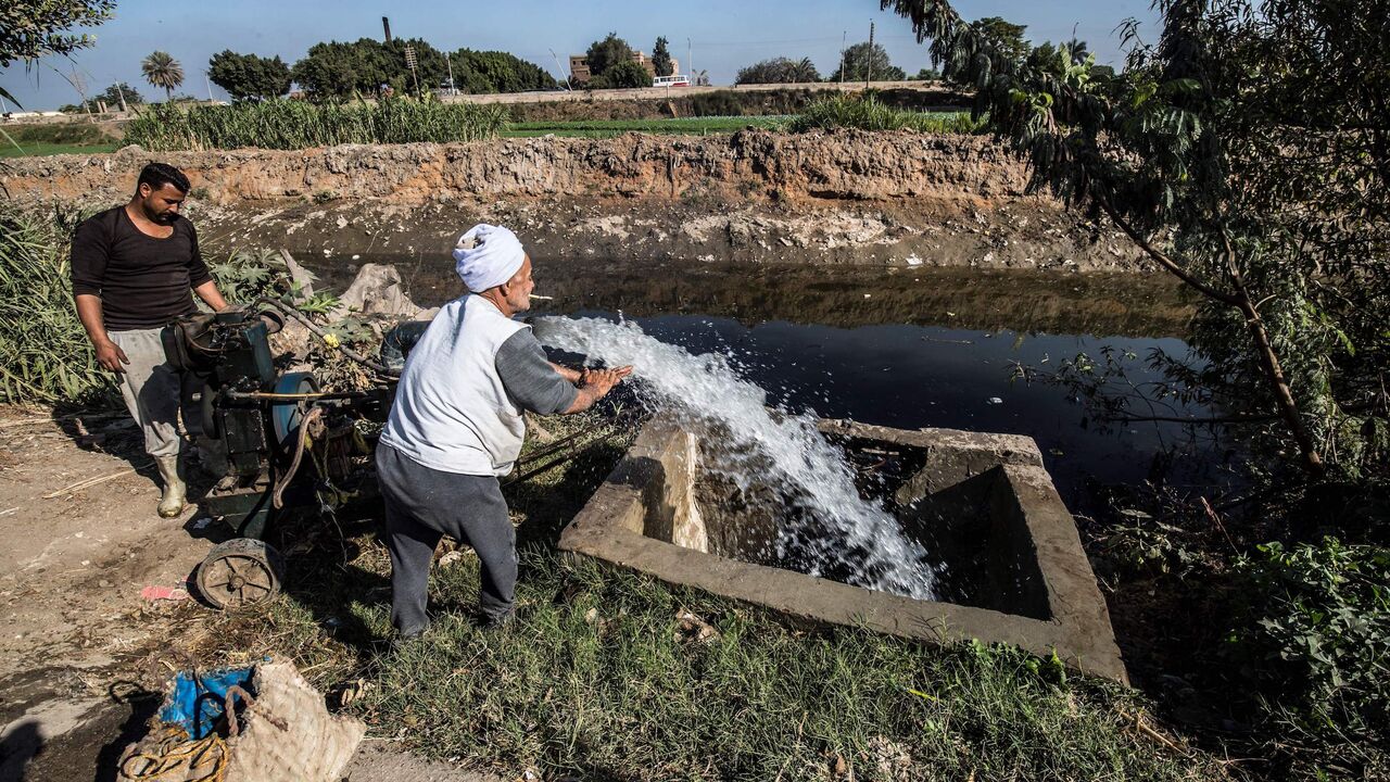 developing new seeds in egypt