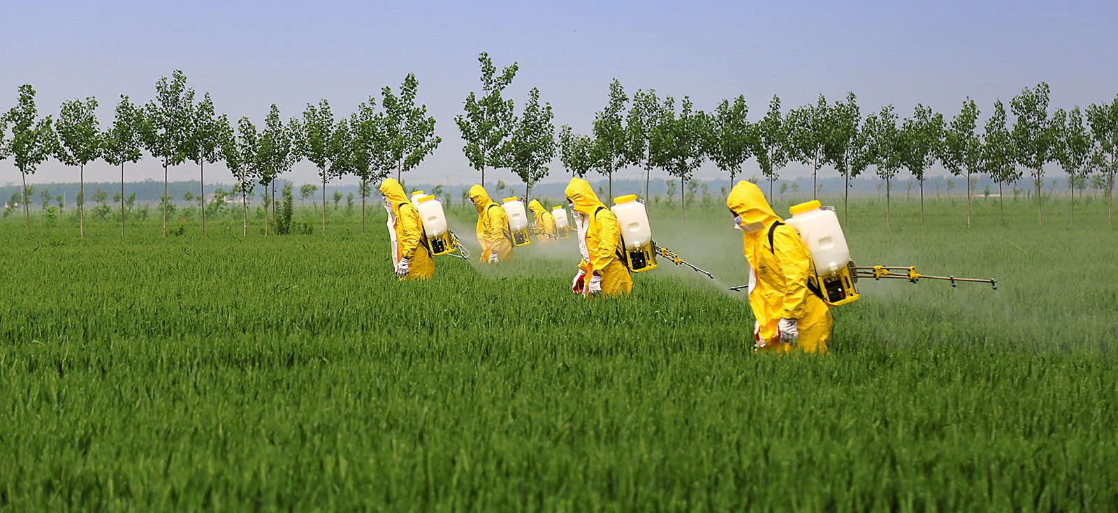 Pesticides-Spraying