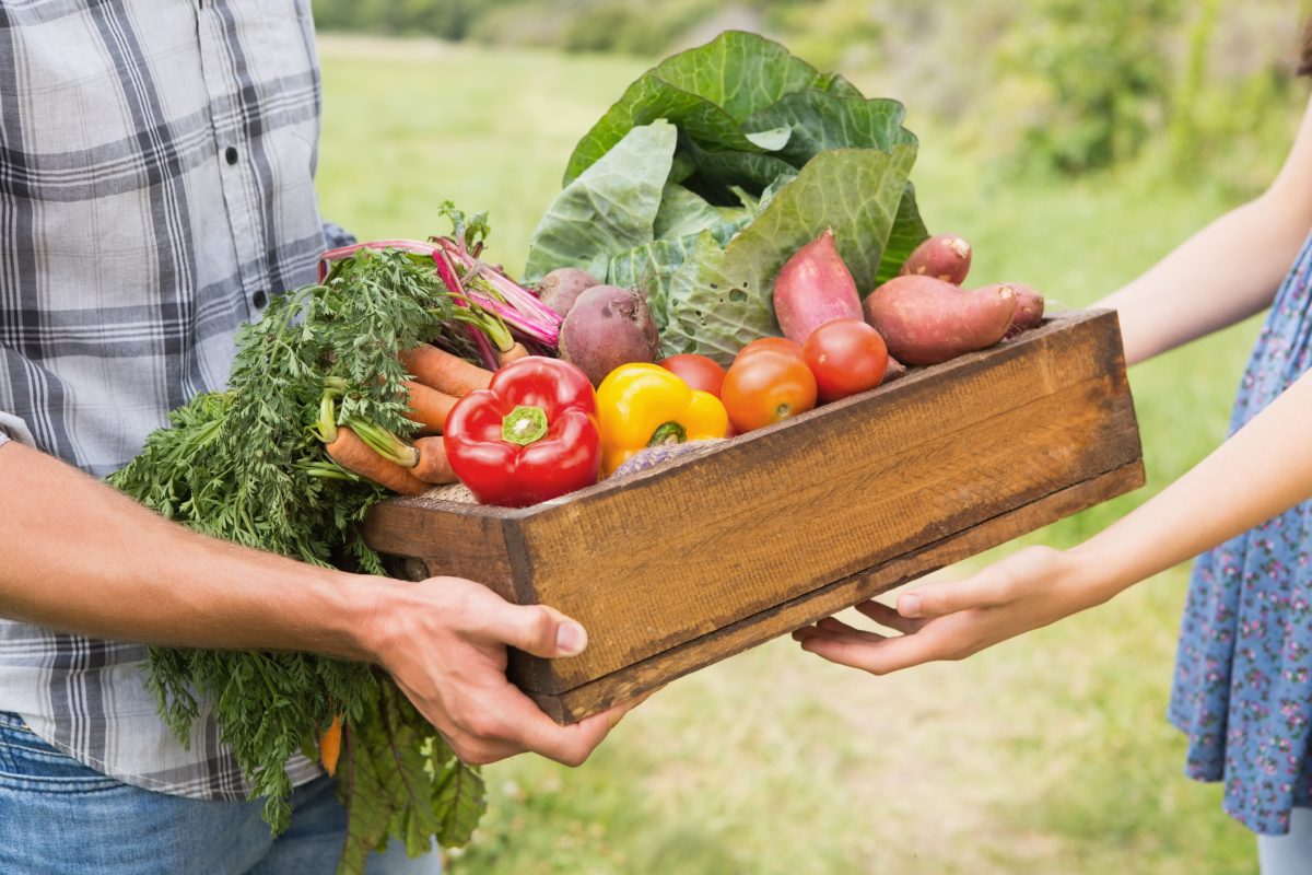 Community Supported Agriculture model supports food