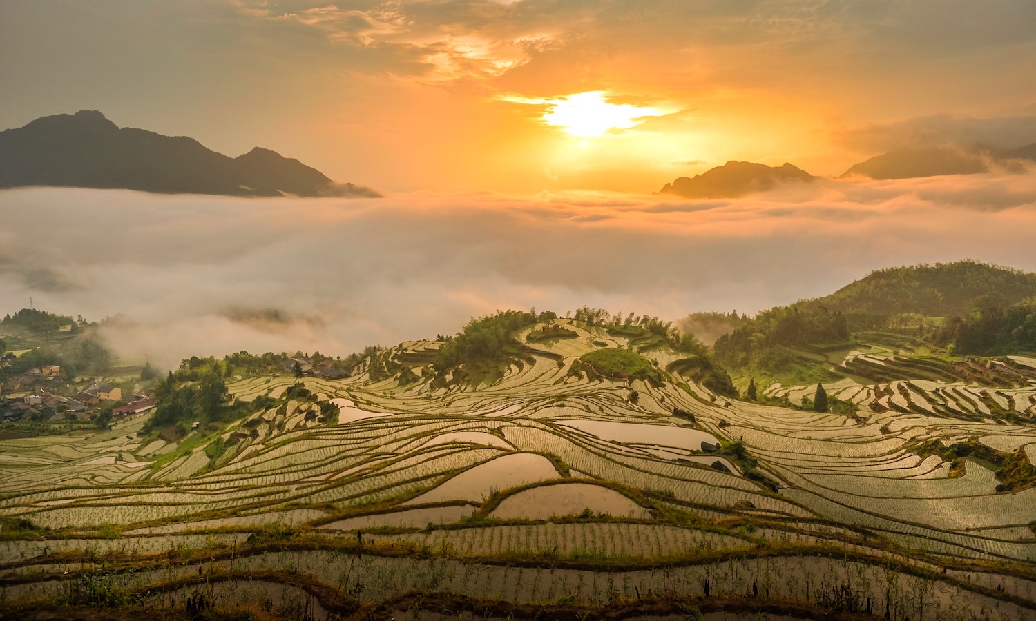 climate transition of China’s agri-food system