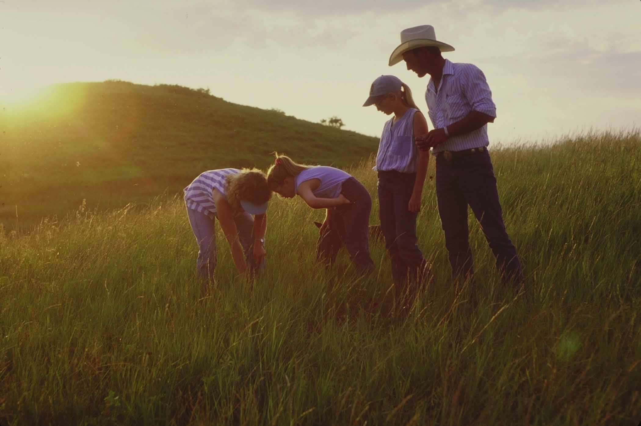 Family farmers support crop biodiversity