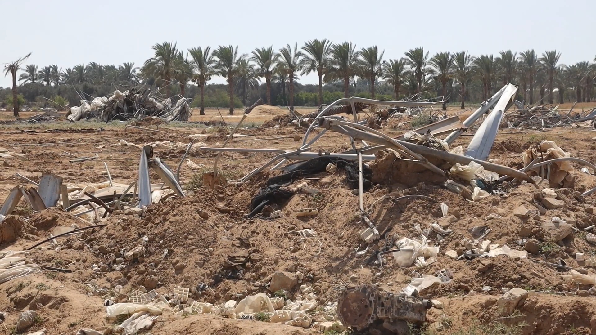 intensifying-damage-to-cropland-in-Gaza