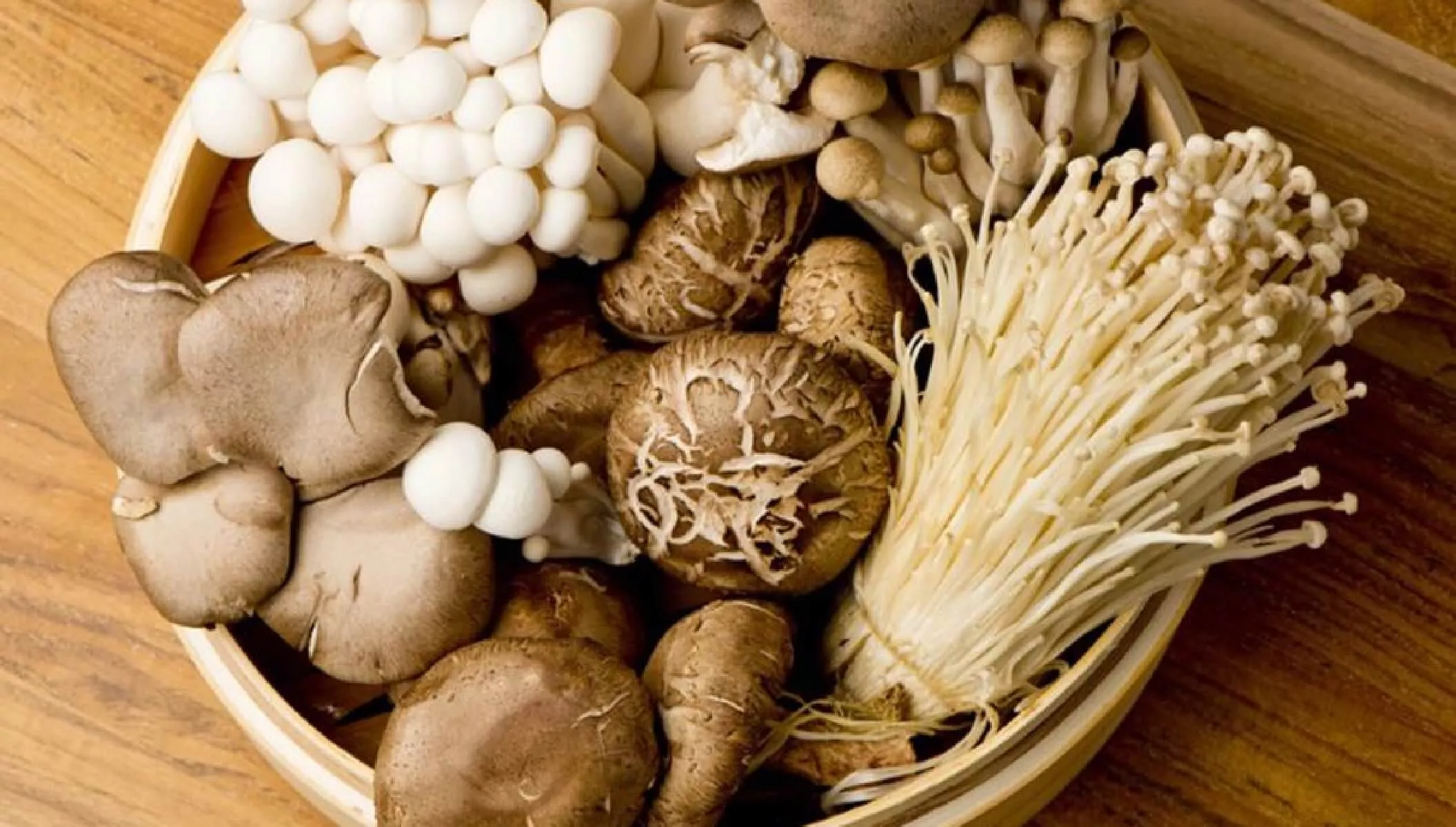 sustainable mushrooms is good for food