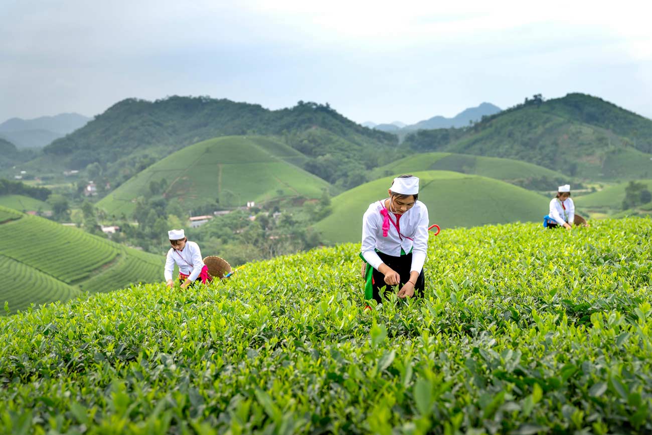 Some of agrifood systems workers