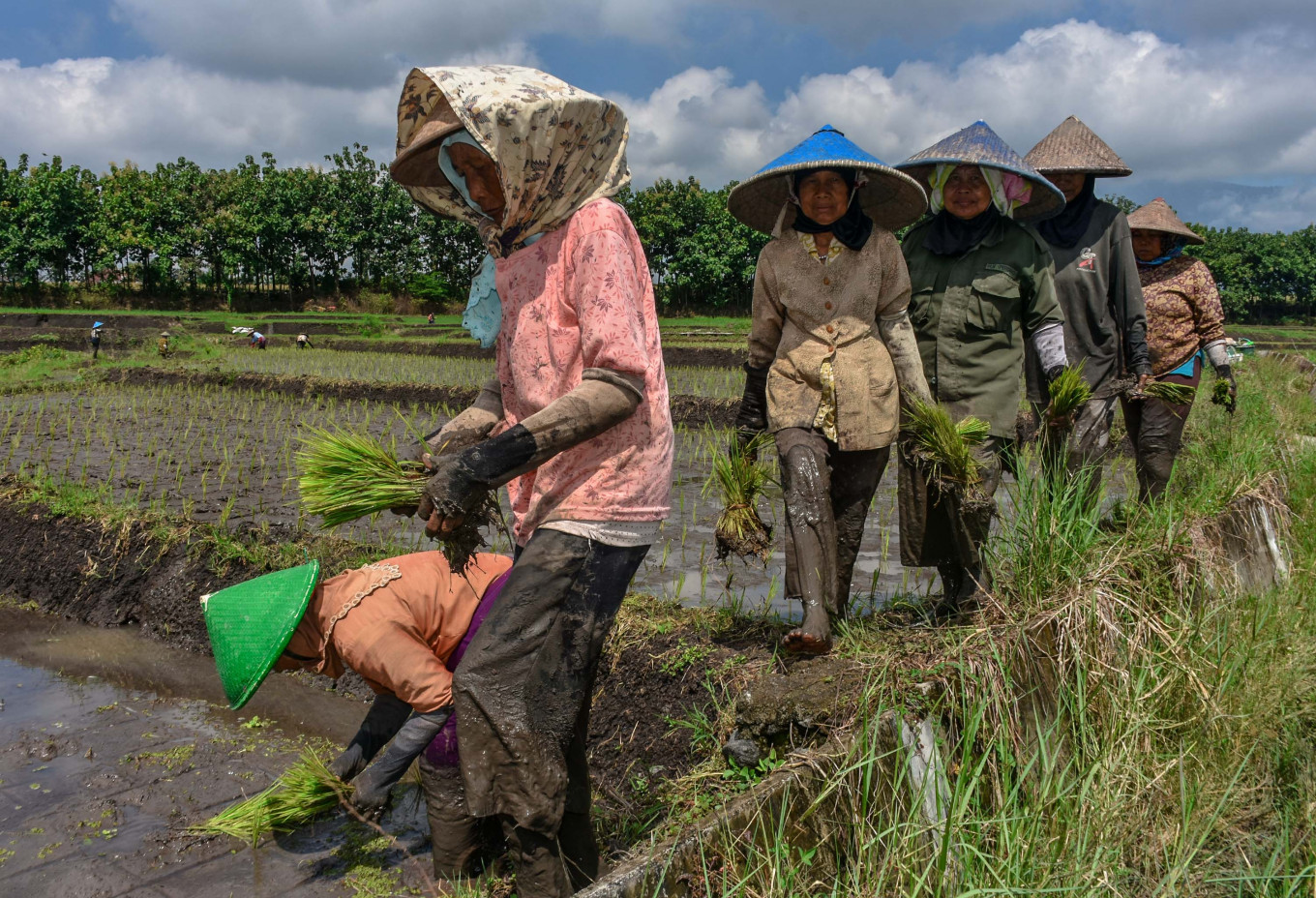 Climate and its impact on food security on Indonisian government table