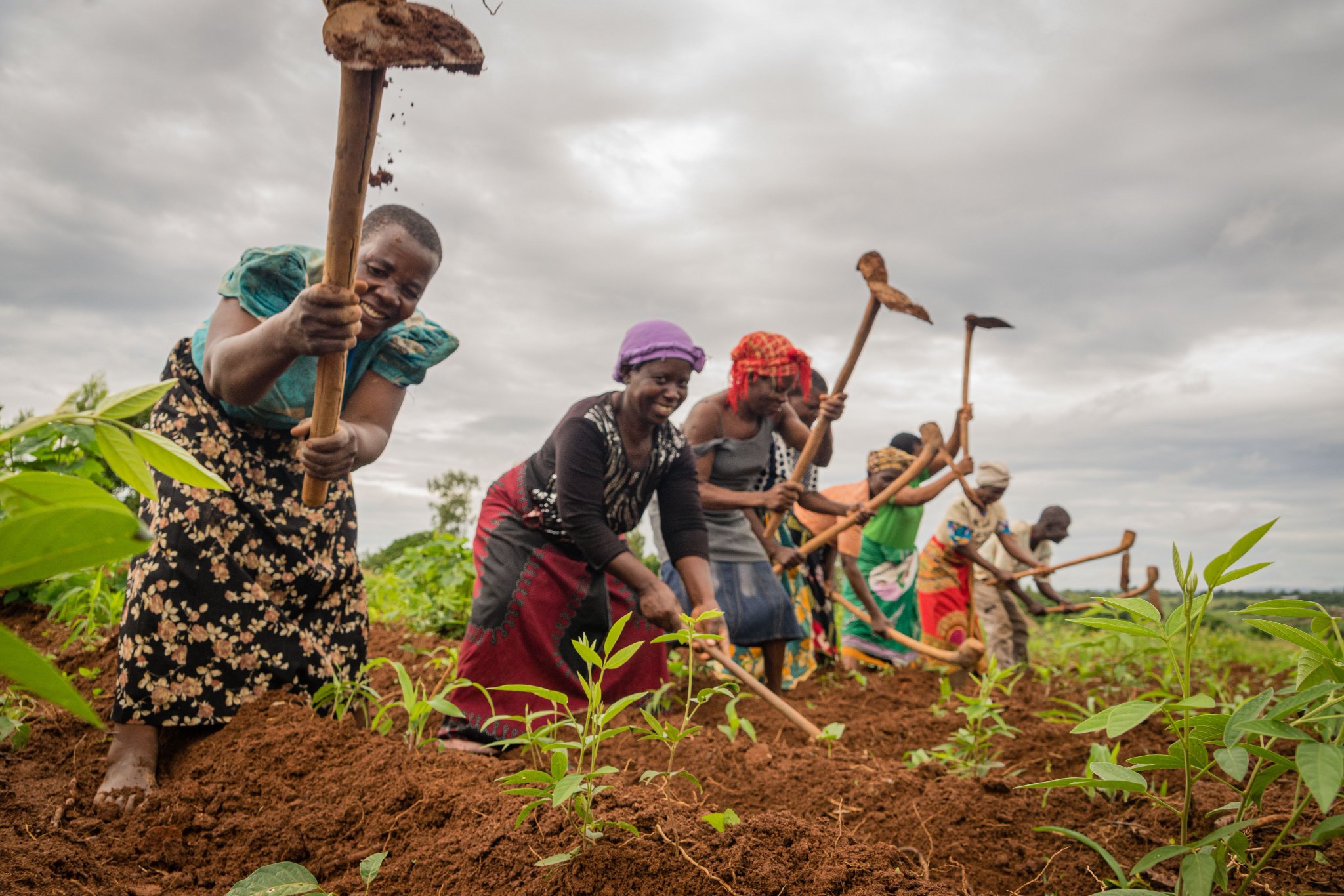 Women farmers