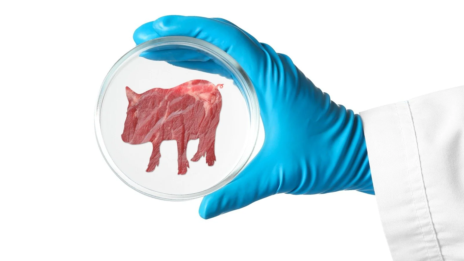 Cultivated meat