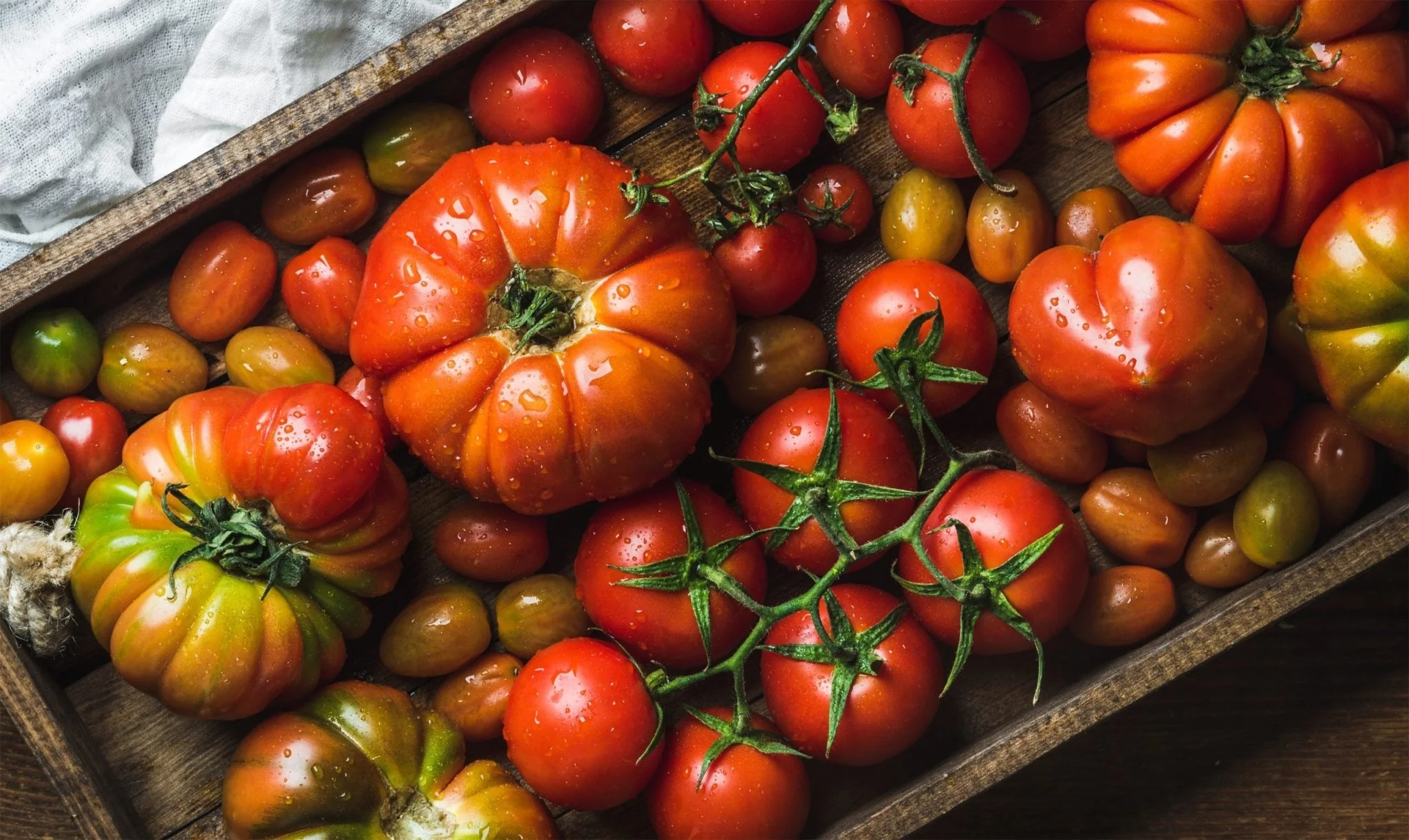 Mexican tomatoes