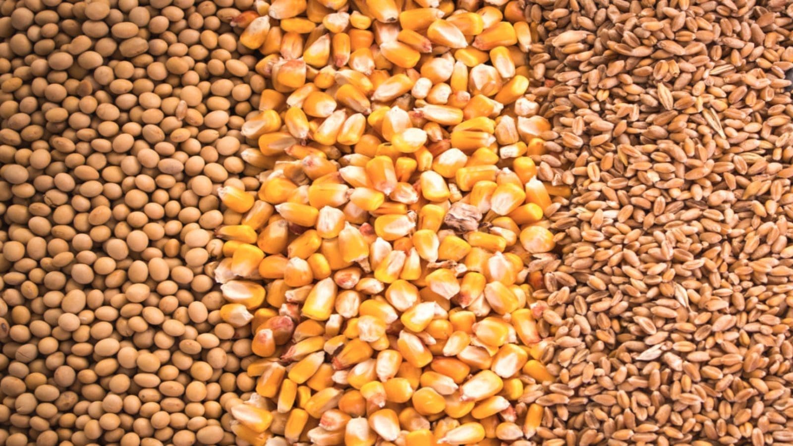 Expand the range of food crops grown