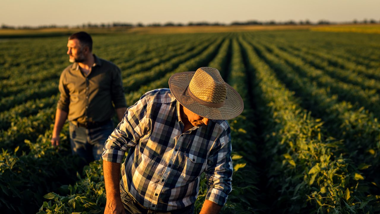 Losses to U.S. agricultural producers are expanding