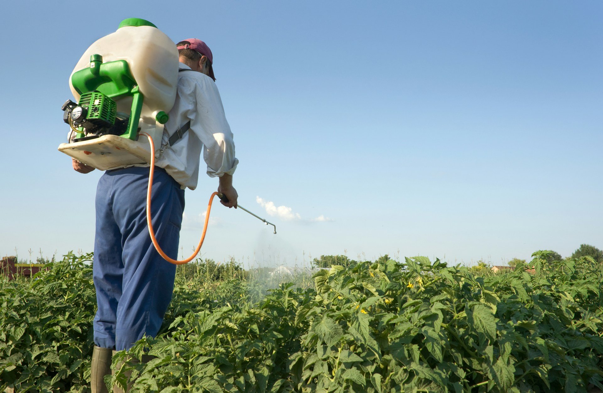 localize the pesticide industry in Egypt target