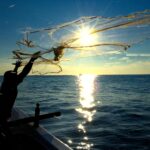 Fisheries in the Comoros, the blue economy opens doors to growth (World Bank)<br><span  style=' color: grey; text-align: right;'>The country struggles to translate its high per capita fisheries wealth into economic progress</span>