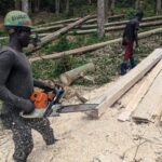 Uganda’s refugees turn food waste into clean fuel