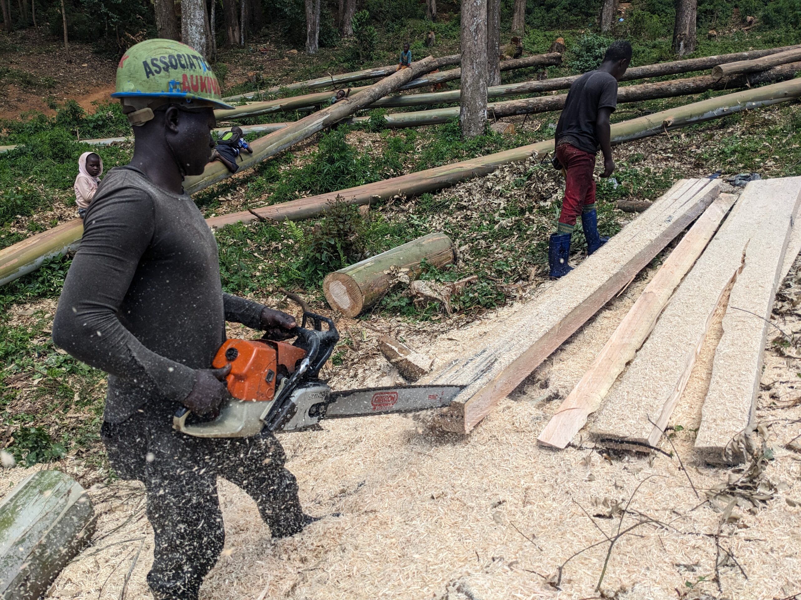 Turning food waste into fuel protects the trees