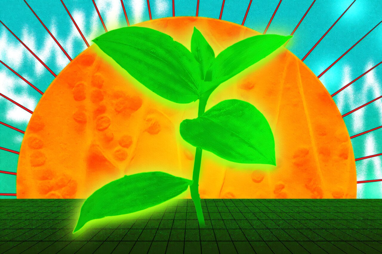 potentially leading to a leap in agricultural production