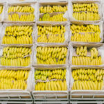 Most US food imports will be affected by Trump Tariffs, could rise prices 3.4%<br><span  style=' color: grey; text-align: right;'>Fresh produce seeing a particularly sharp jump initially</span>