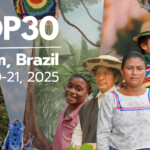 Food security at the COP30 agenda’ heart, and Belém accommodation units exceeding the expected demand, Brazilian ambassador to Egypt says (Exclusive)