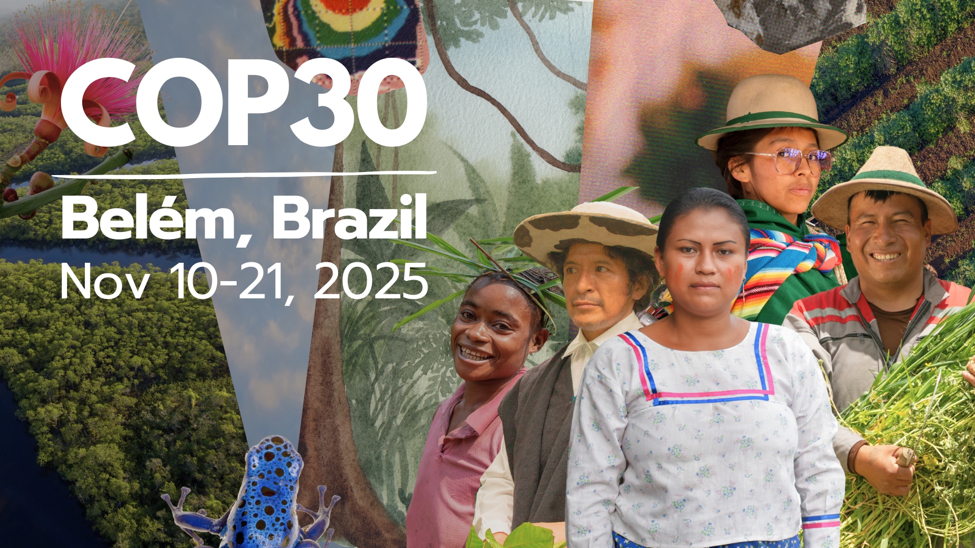 COP30-website banner - UNDP.png
