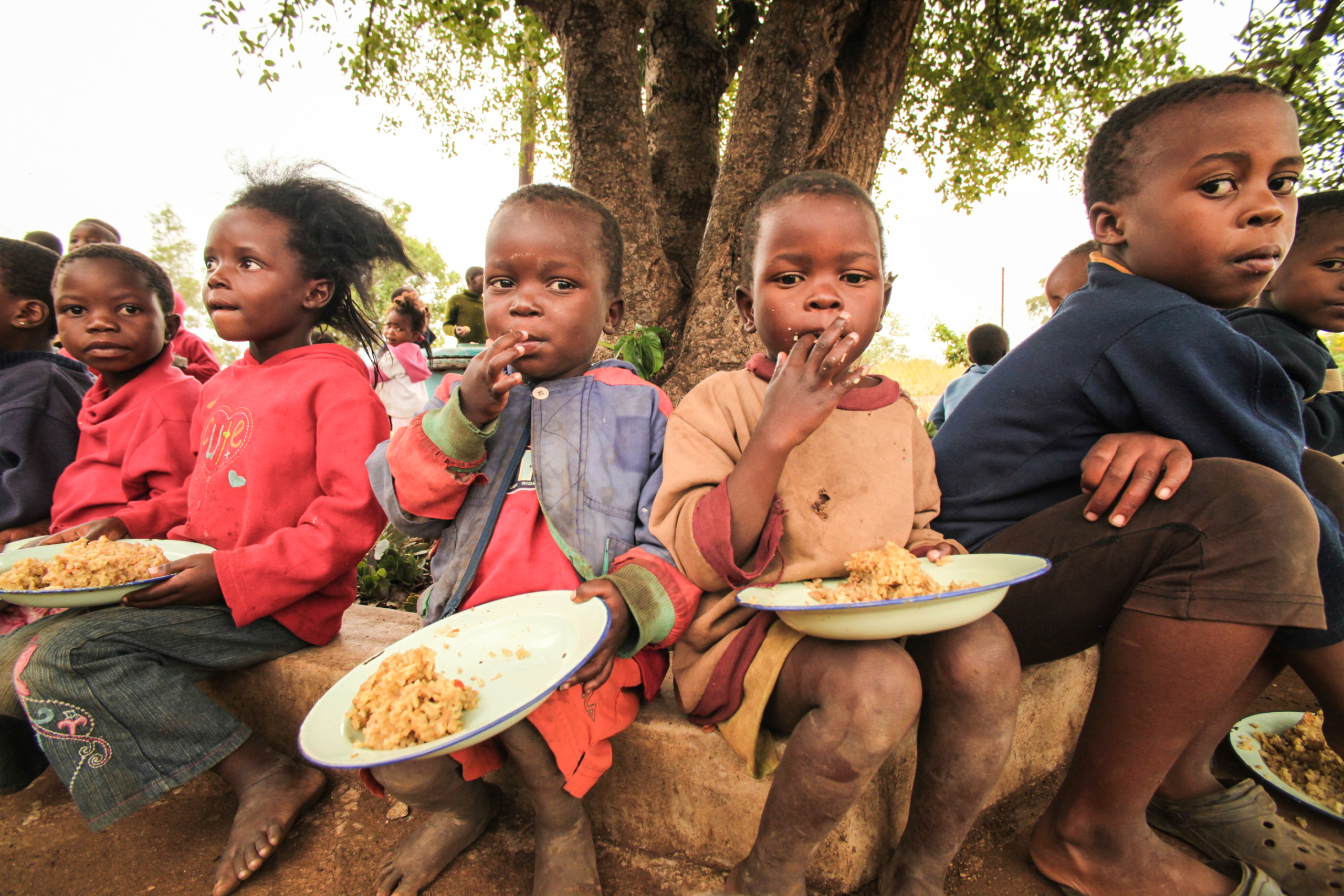 Global food insecurity increases
