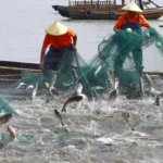 WTO Agreement on Fisheries Subsidies enters into force after approval by 4 member states<br><span  style=' color: grey; text-align: right;'>Prohibits governments support to illegal fishing activities</span>