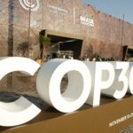 At COP30, TFFF fails to secure $4 per hectare of forest, allegations of supporting neo-colonialism