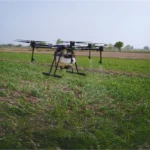 Synthetic chemicals in food systems lead to trillion-dollar health losses (New Report)