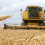 Food Price Index Continues to Decline in November 2025<br><span  style=' color: grey; text-align: right;'>Crude oil price drop eases pressure on vegetable oils</span>