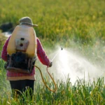 Individuals can sue US pesticide manufacturers now