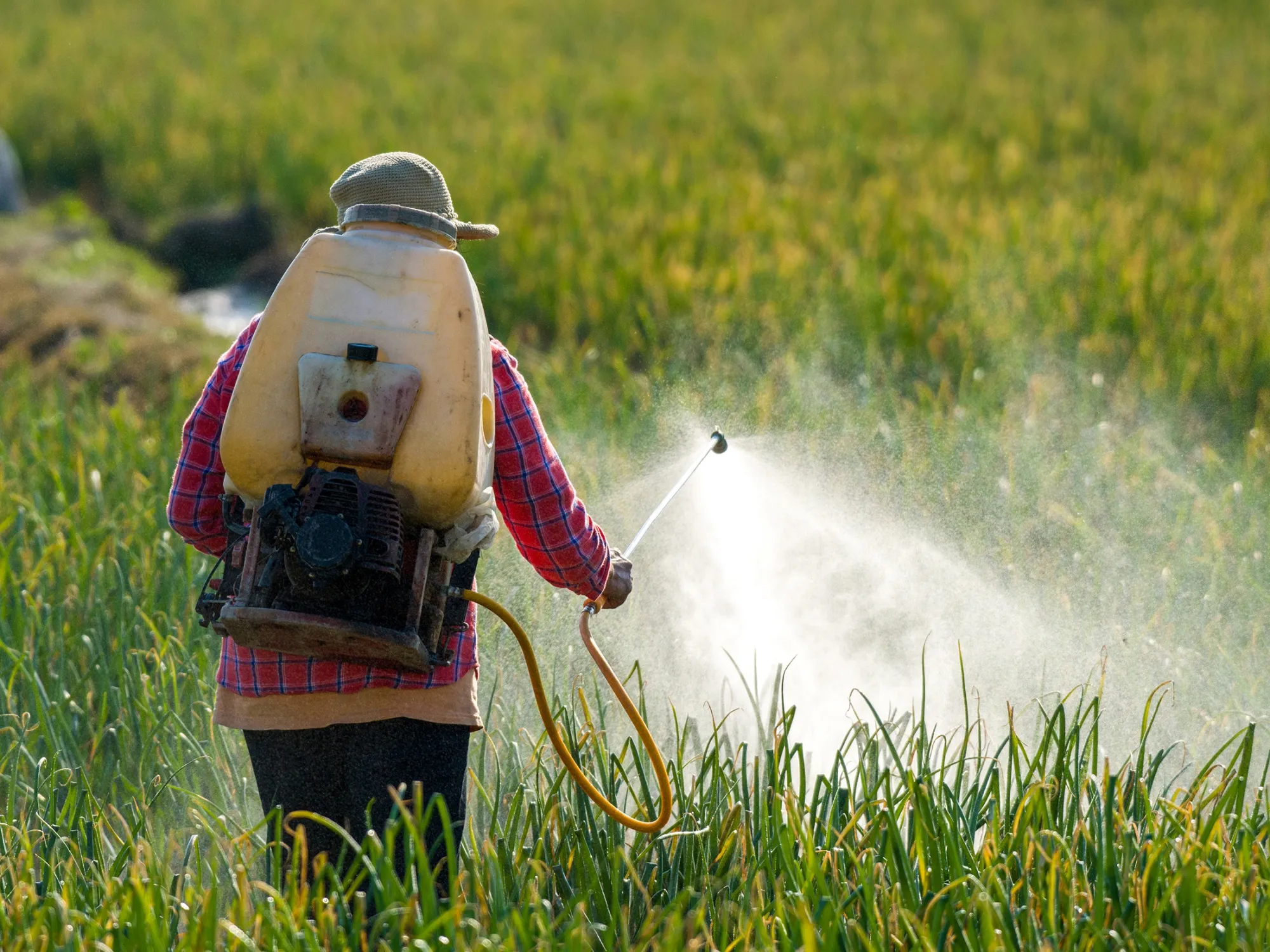 Individuals can sue US pesticide manufacturers now
