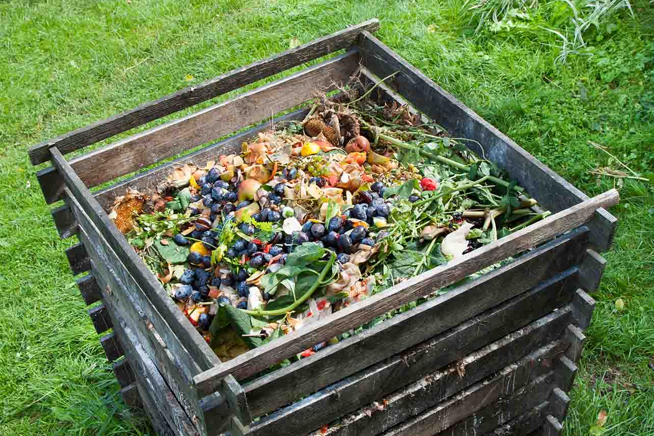 underutilized food waste