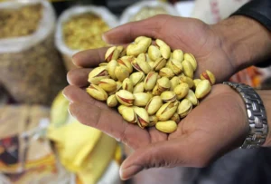 The pistachio in Iran gets support to combat water and climate crises