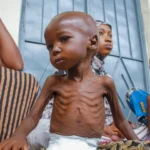 Drought exacerbates hunger crisis in Somalia<br><span  style=' color: grey; text-align: right;'>Deyr season cereal harvest is 83% lower than the long-term average from 1995 to 2025</span>