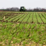 Proposed Fertilizer Transparency Act in U.S. to combat higher prices due to Iran war