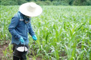 Asia fertiliser supplies threatened, war in Iran halts major exporters