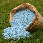 Fertiliser crisis awaits solutions in India and Britain as the Iran war continues