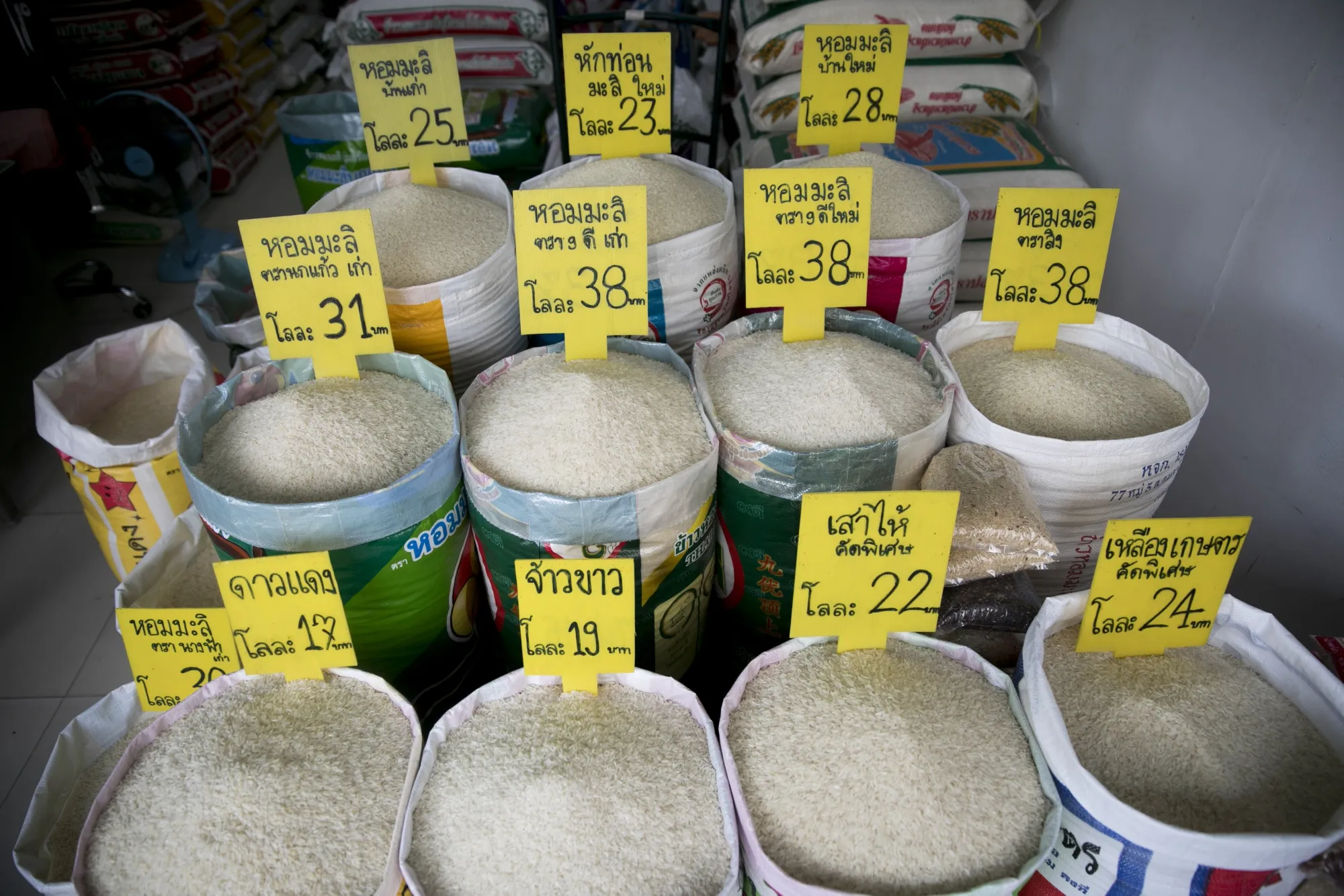A selection of Thai rice varieties