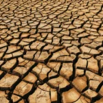 Record US drought sparks worries about water supply and food prices<br><span  style=' color: grey; text-align: right;'>The highest in 26 years</span>