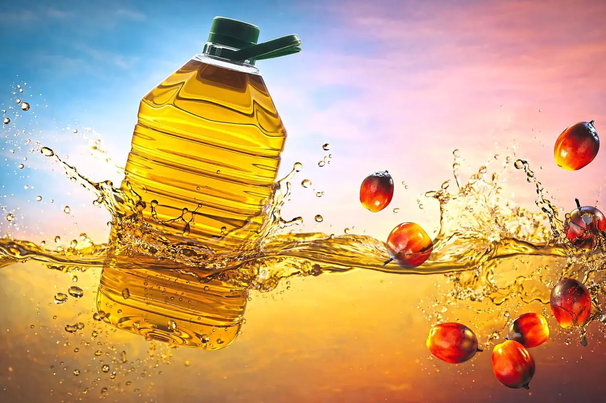 Palm oil - Photo - The star
