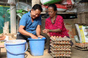 Poultry farmers participating in the One Egg for Every Student initiative