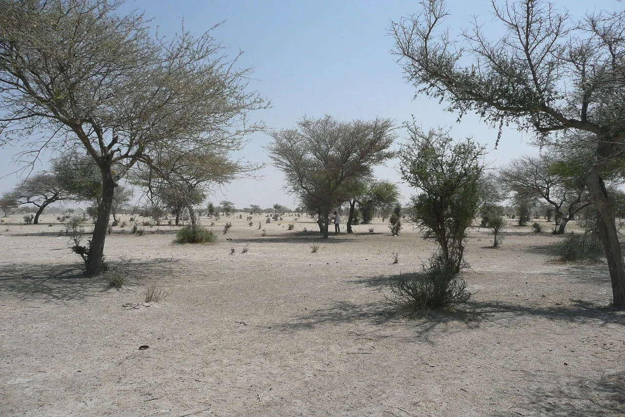 Desertification in Africa - Photo - Green Earth