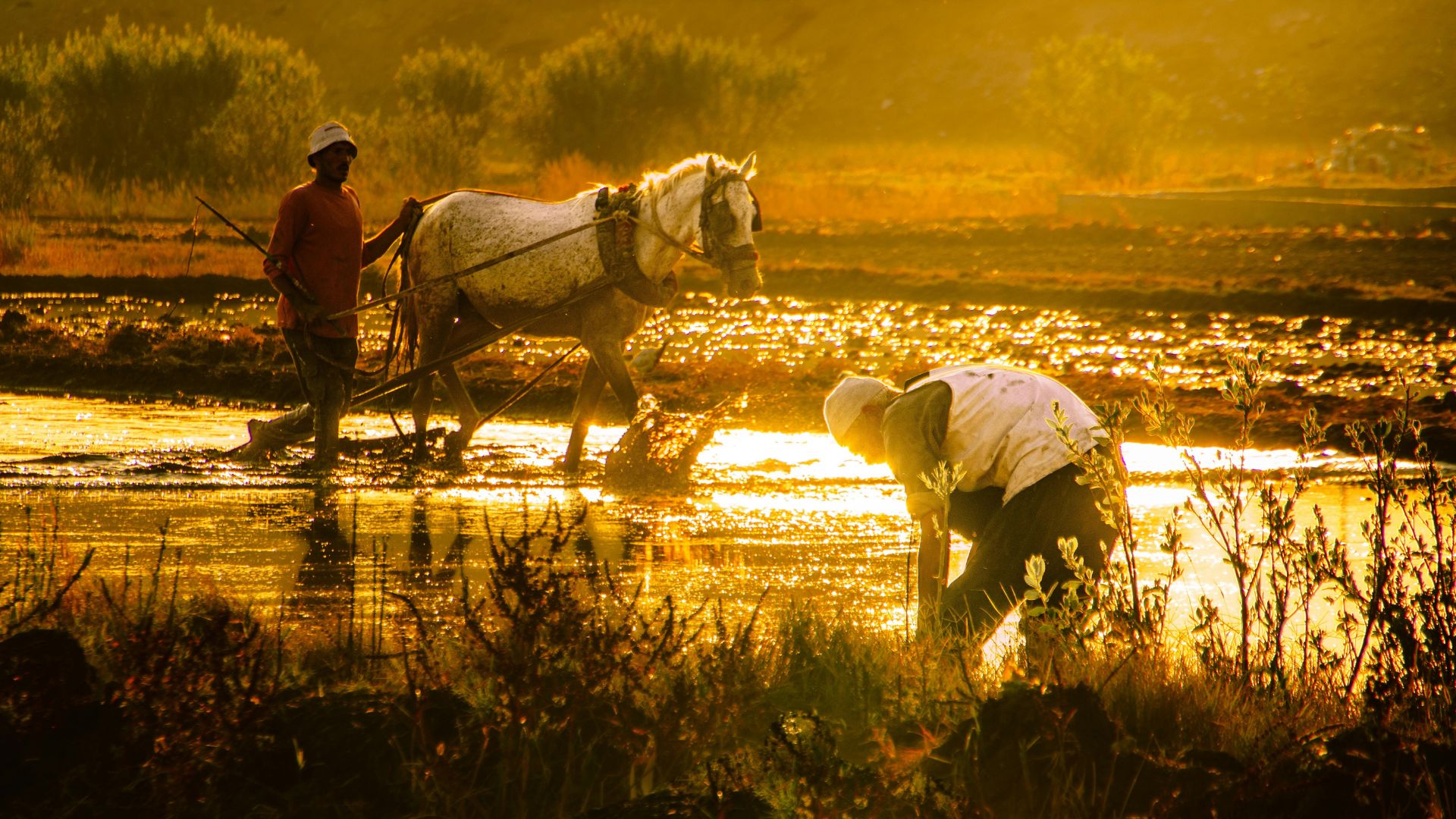 Extreme heat events have been increasing
