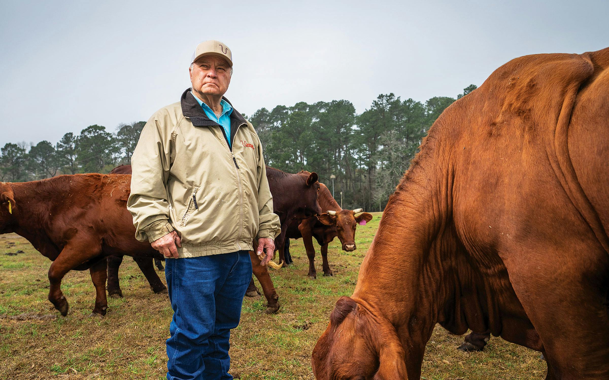 American farmer 