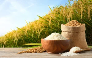 Global rice production is set to decline for the first time in 11 years<br><span  style=' color: grey; text-align: right;'>India faces a decline in monsoon rains, and the Middle East conflict is exacerbating the situation</span>