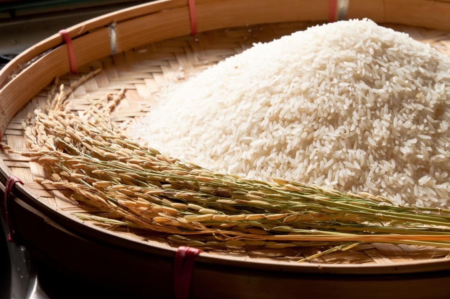 Rice - Photo - Bangkok post
